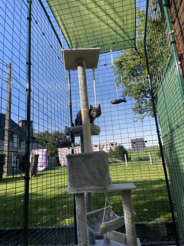 Create a playground for your cats