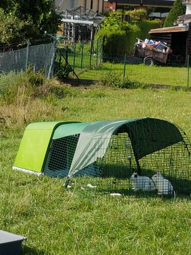 Kaninchenstall von diéGo unser kaninchen 