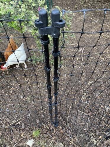 Closing the net Omlet