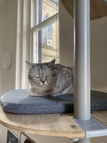 Perfect for a snooze