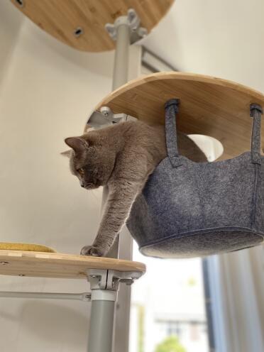 Time for some exercise after a nap