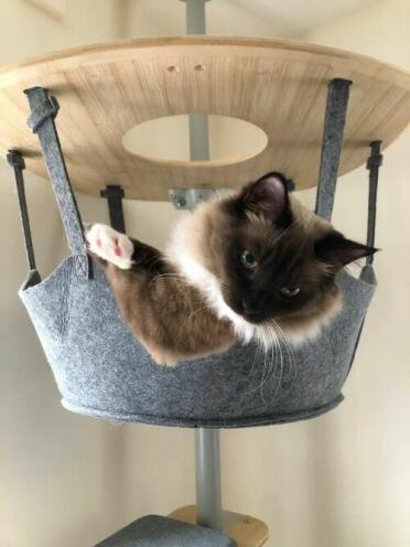 A comfortable spot for observation