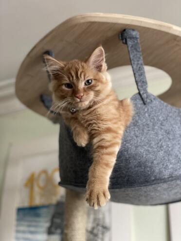 Hamish’s favourite spot 