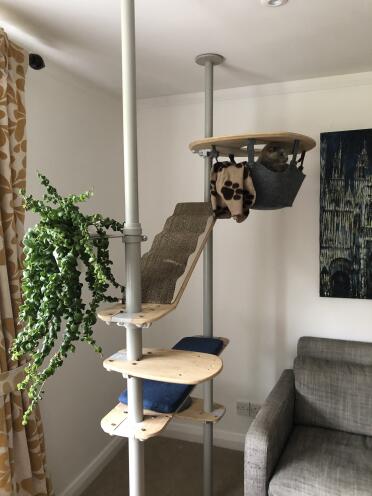 My Freestyle cat tree