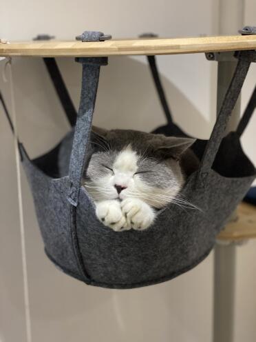 Loving the hammock!