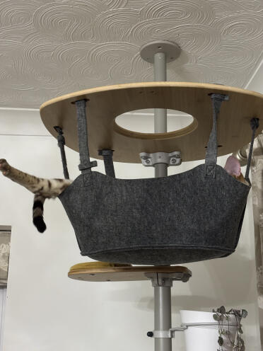 The picture says it all!!