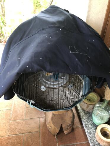 The cover of the Omlet Geo bird cages has starts on the underside.