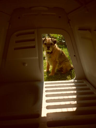 Any chickens yet!!!