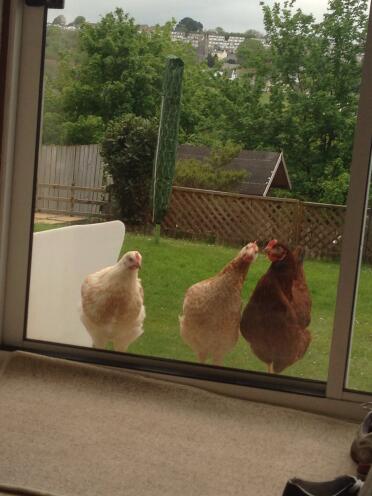 Let us in!!