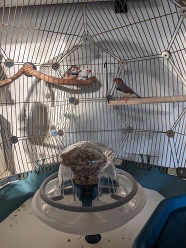 The cage provides a lot of space