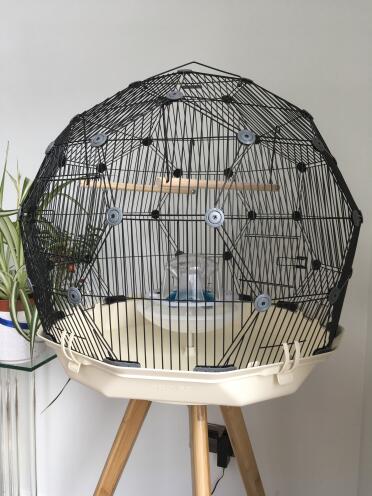Here is the Geo Cage we bought. Can’t wait to get our budgies!!!