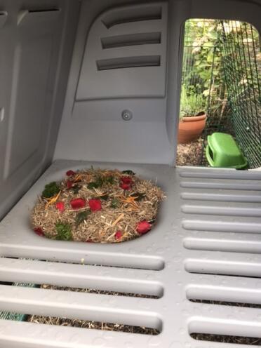 Gertie and mabels nesting bed with roses and herbs