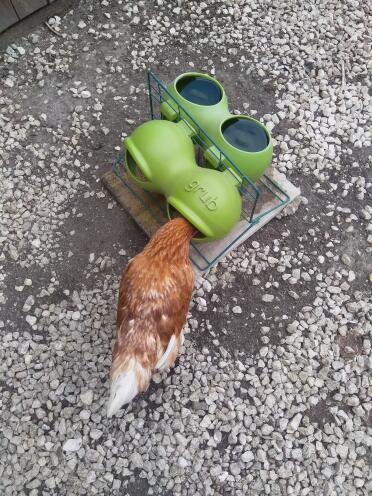 Grub and stand in daily use