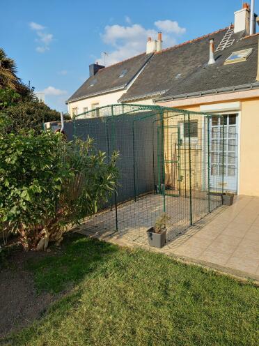 There are many sizes of walk in run, fit for any space in your garden