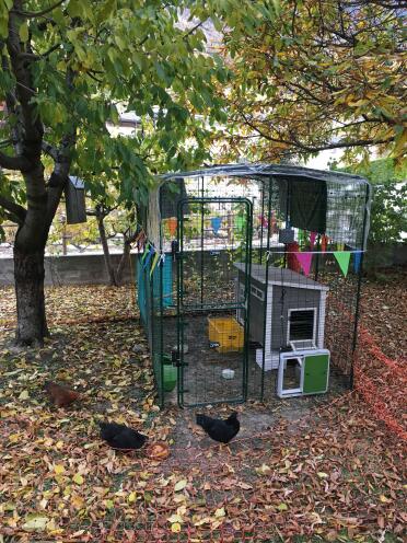 A colourful setting in autumnal leaves