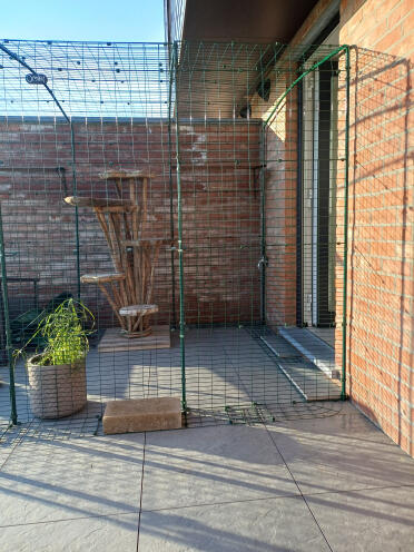 Following our move, dismantling and reassembly with the addition of a successful extension.