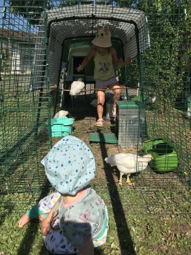 Large chicken coop Eglu Cube enclosure 4m