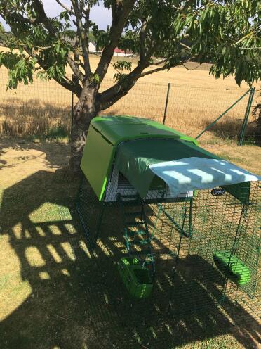 The Omlet covers offer much needed shade for your chickens on hotter days.