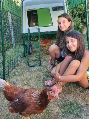 It's so much fun spending time with you chickens.
