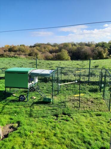 Glorious day to admire your Omlet chicken coop!