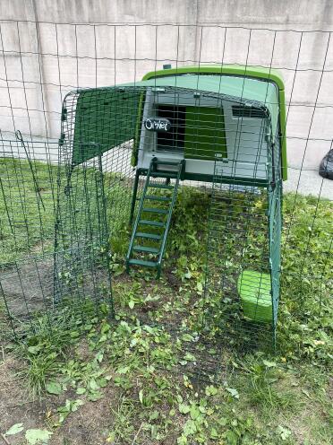 The Cube makes the perfect home for your aviary friends.