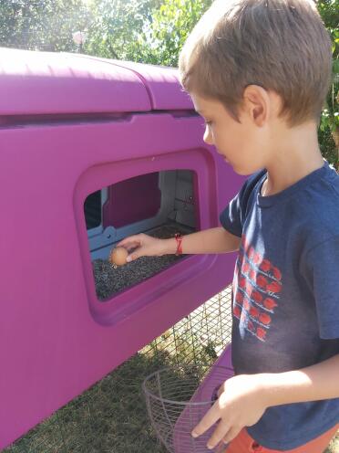 An accessible and fun way for children to look after their chickens