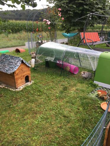 Large outdoor enclosure in the garden