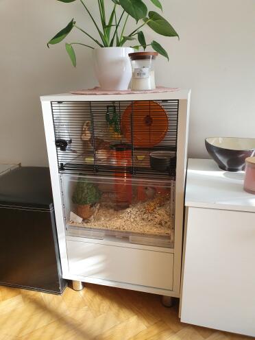The Qute looks lovely in every home!