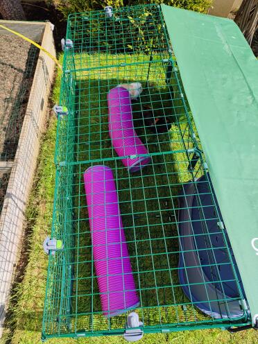Perfect fit and great for shade from the sun or rain showers