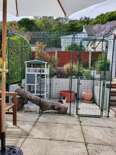 An enclosure that can be customised