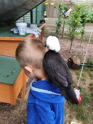 Chicken sitting on back of boy