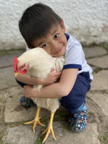 Huggy the hen loves a hug 