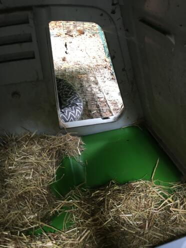 In side the rabbit hutches 