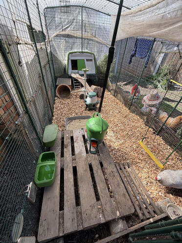 New water a feeders i’ve kept the old ones in the run until they get used to them, they have used the feeder but so far won’t Go near the water tub