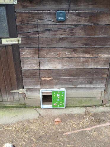 Automatic chicken flap 