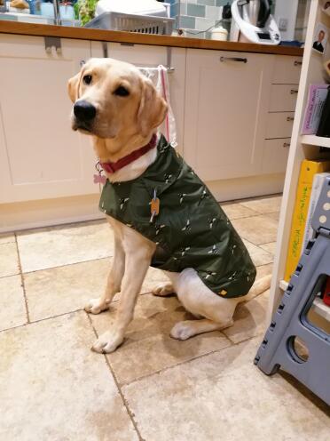 A very stylish jacket