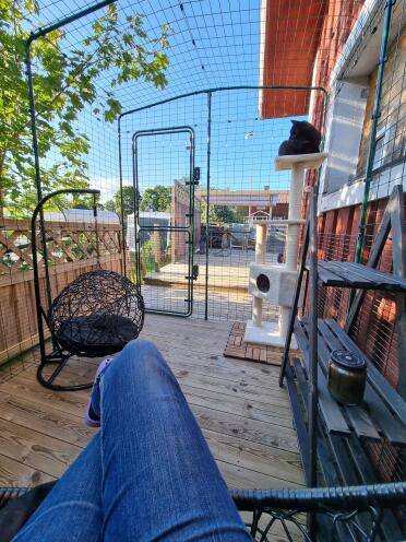 Spend time with your cats inside the catio