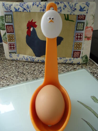 egg fits nicely 