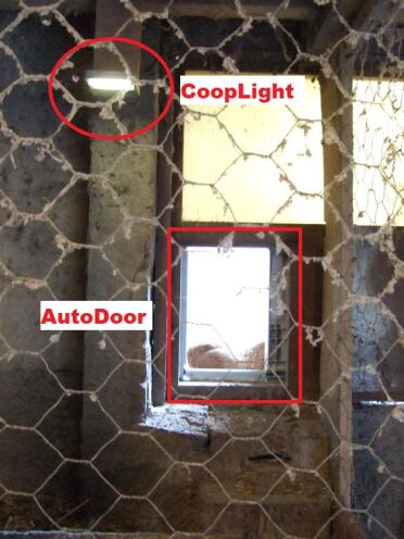 The coop light makes your chickens home much cosier!
