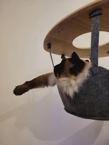 A comfortable spot