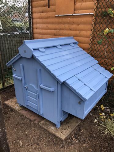 The coop can be painted in the colour of your choice