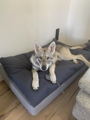 A great place to rest after a tiring play session