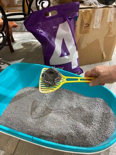 Omlet cat litter 4 clay cat litter clumping