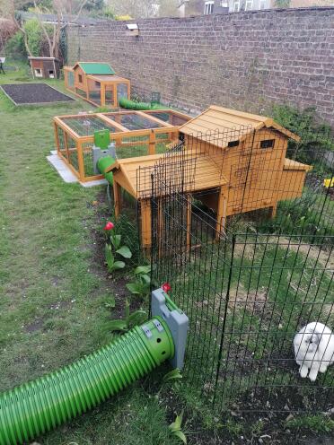 Rabbit galleries