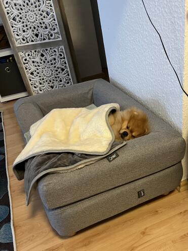 A blanket to feel good