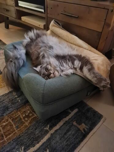 Big stretch!