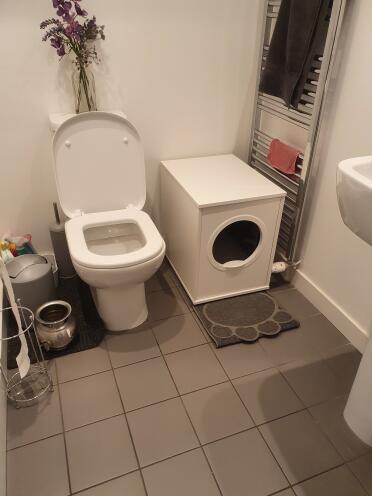 Looks amazing and discreet