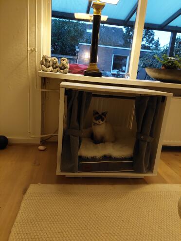 Cosy place