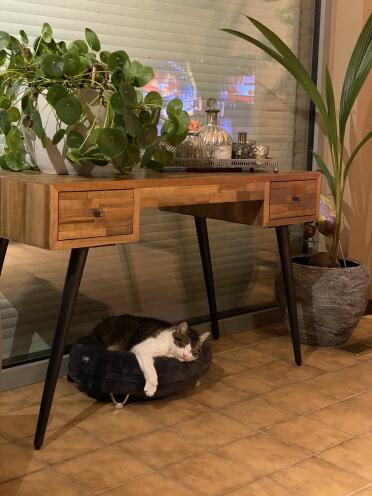 A cosy place to rest