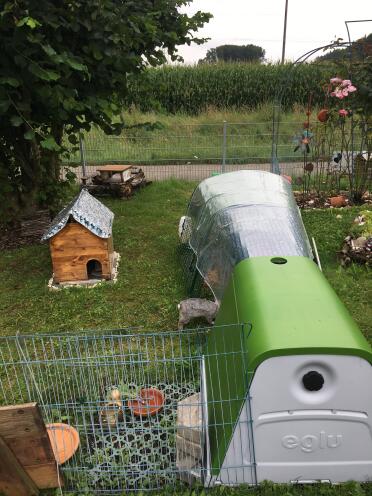 My Eglu Go in rabbit enclosure